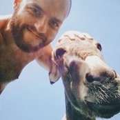 Stefano Vigneri's photo