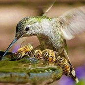 Nicole Johnson's photo