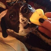 Tasha Lemley's photo