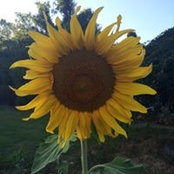 Gilaine Michelle's photo
