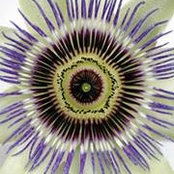 M Ann Brown's photo
