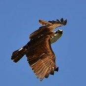 Tammy VanderMeulen Jefferson's photo