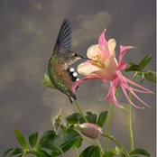 Irma Woerner's photo