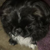 Linda Campbellton's photo