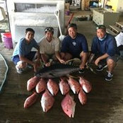 David Yap's photo