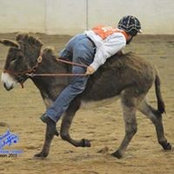 Foto de Lowry Stables