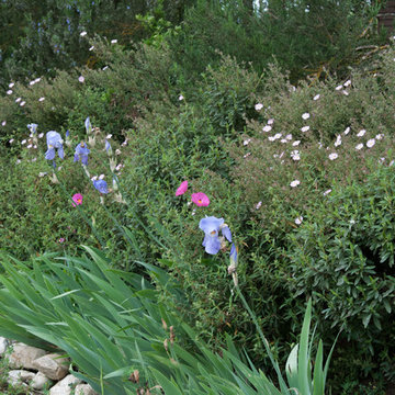 Country garden in Siena - Tuscany