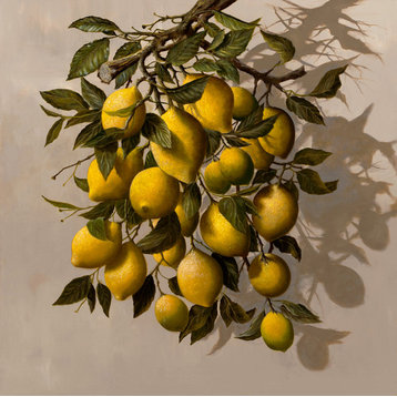 "The Lemon Tree" Oil on Canvas by H. Hargrove