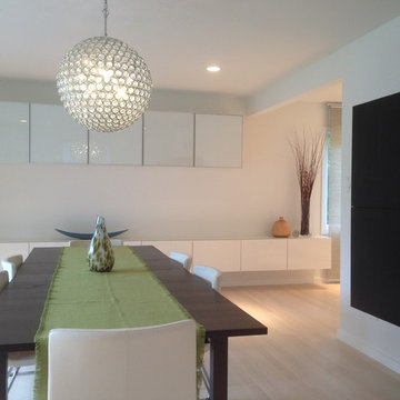 Modern Suburban Renovation