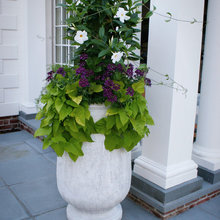 Outdoor Landscaping