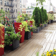 Privacy Garden Wall