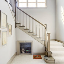 Dog Room