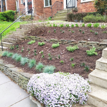 Minimal Front Garden in Mount Pleasant
