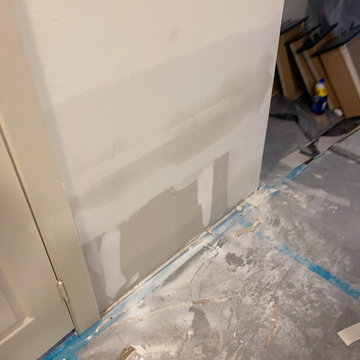 Apartment Mold Mitigation and Rebuild