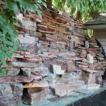 rons back yard