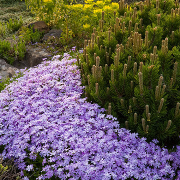 My Gardens and Landscape Architecture