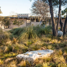 Home Landscaping