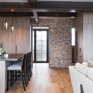 Ski In Ski Out Contemporary home