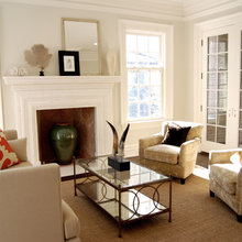 paint with white dove