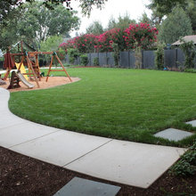 backyard landscaping