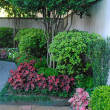 Landscaping