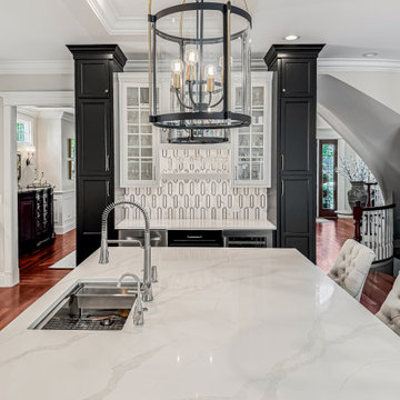 Modern Transitional Kitchen Remodel | Naperville, IL