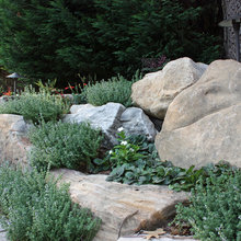 Landscape Ideas