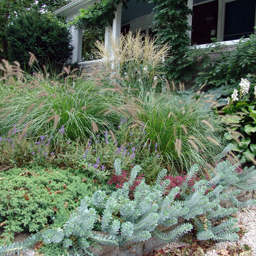 Front yard planting