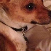 Deborah Caughey's photo
