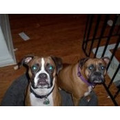 Faith Brenner's photo