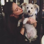 Betsy Blumenfeld's photo