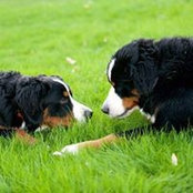 Martha Leger's photo