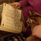 Sharon Panitch's photo