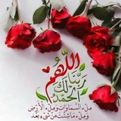 Doaa Abdelhady's photo