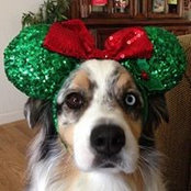 Lonnie Kennedy's photo