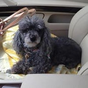 Madeline Gabay's photo