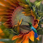 Julie Bates's photo