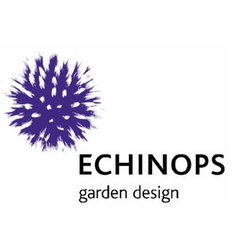 Echinops Garden Design