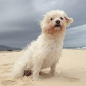 Mc Krusty's photo