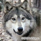 Bryant Riley's photo