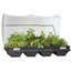 Vegepod, Raised Garden Bed Kit With Cover, Large