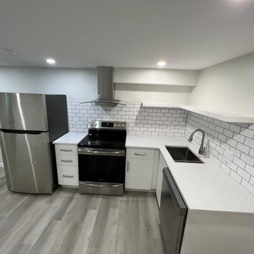 Secondary Suite Remodel