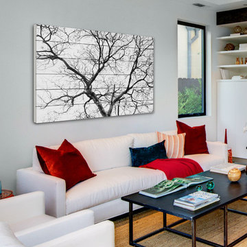 Black Branches