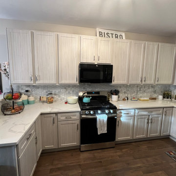 Transitional Kitchen Remodel Done in Swiss Elm Skye Cabinets