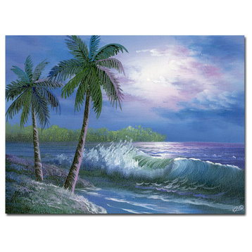 'Moonlight in Key Largo' Canvas Art by Rio