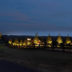 Landscape Lighting Ideas - Landscape Lighting