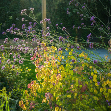 Tall flowering plants in Stylish Woodford Garden Design