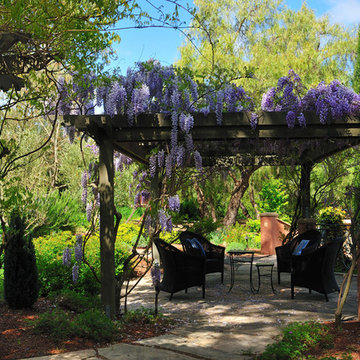 Mediterranean patio and Wisteria pergola