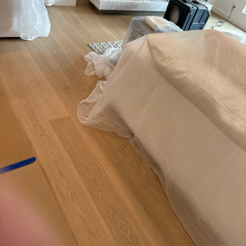 Mold Remediation Projects