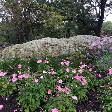 Rock Ridge
